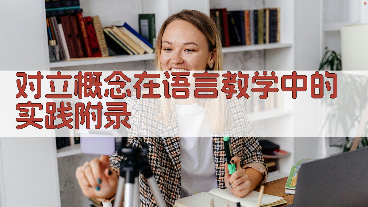 对立概念在语言教学中的实践 · 附录 图2