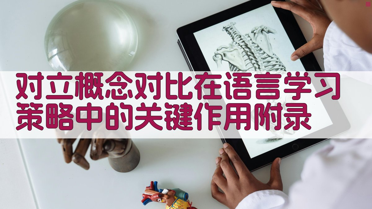 对立概念对比在语言学习策略中的关键作用 · 附录 图5