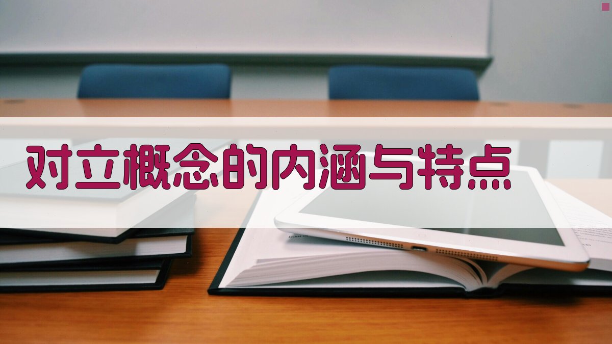 对立概念的内涵与特点 图1