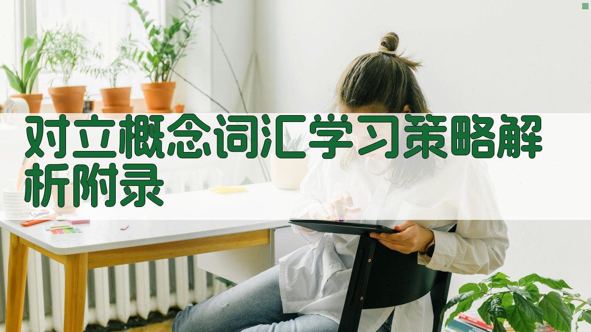 对立概念词汇学习策略解析 · 附录 图4