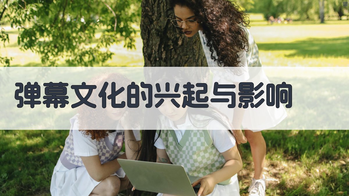 弹幕文化的兴起与影响 图1