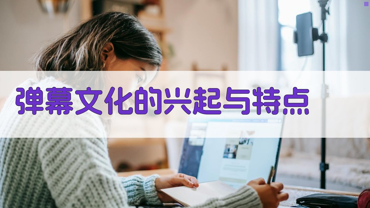 弹幕文化的兴起与特点 图1