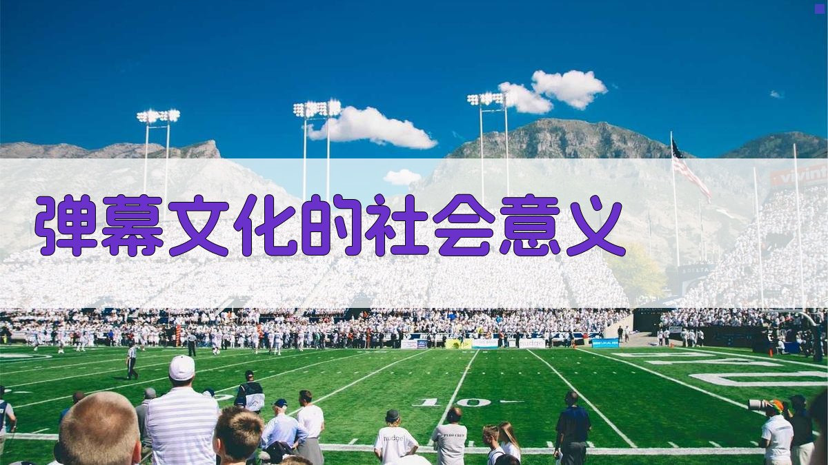 弹幕文化的社会意义 图3