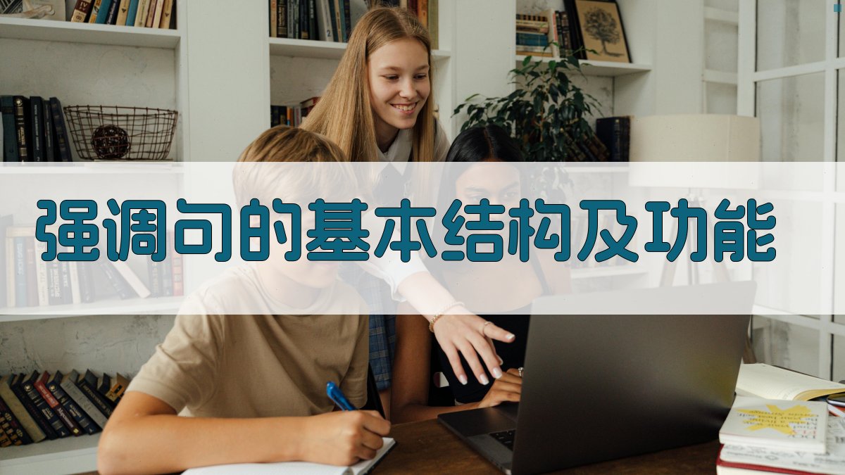 强调句的基本结构及功能 图1