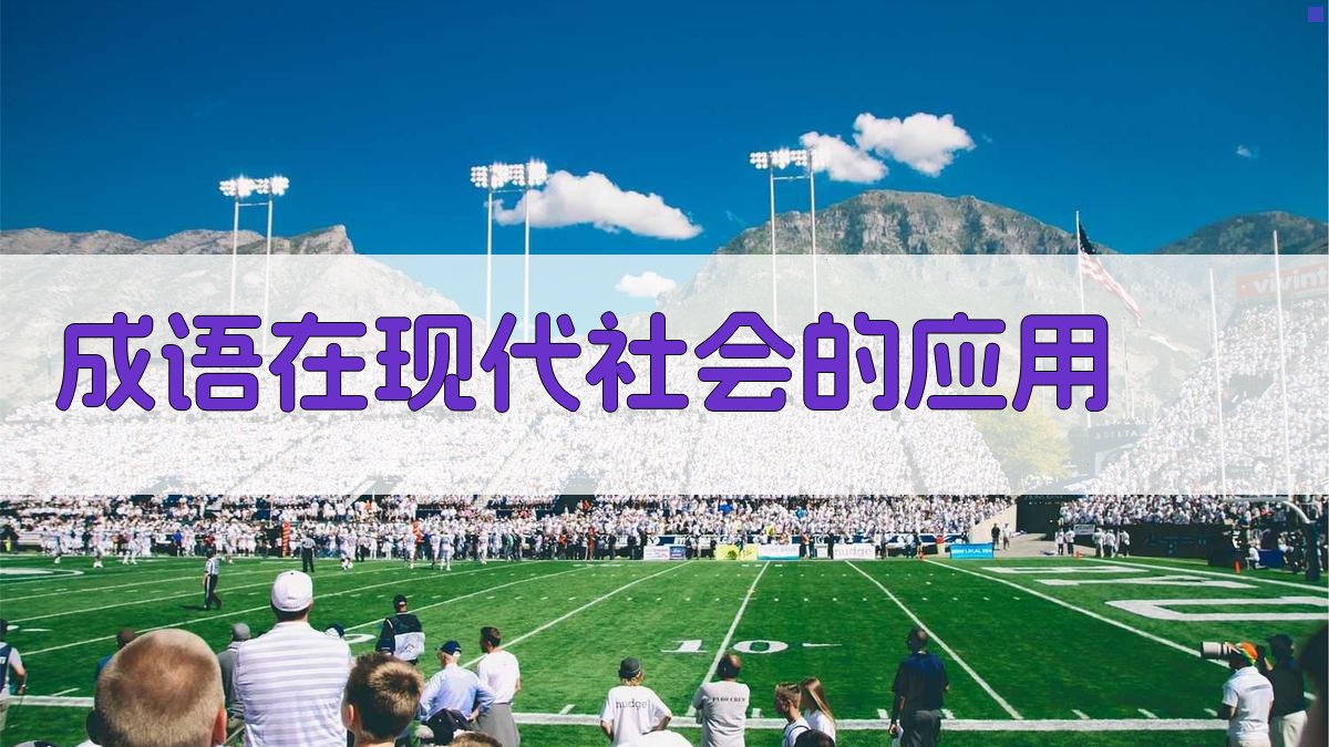 成语在现代社会的应用 图2