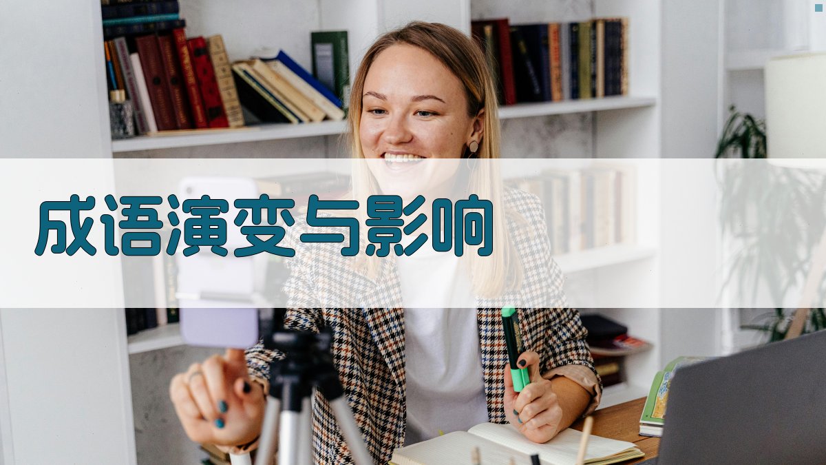 成语演变与影响 图1