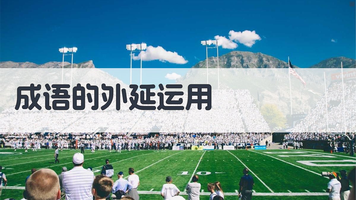 成语的外延运用 图3