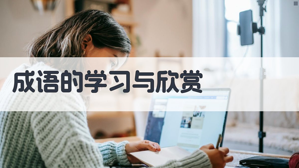 成语的学习与欣赏 图5