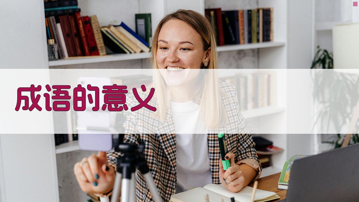 成语的意义 图1