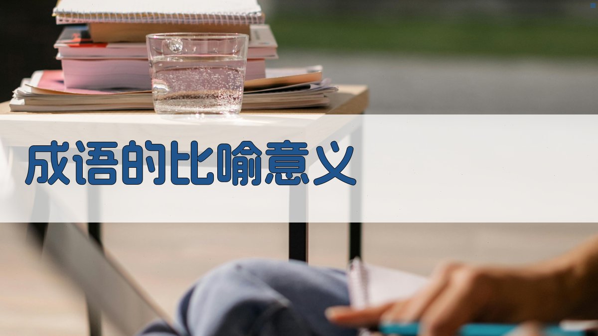 成语的比喻意义 图2