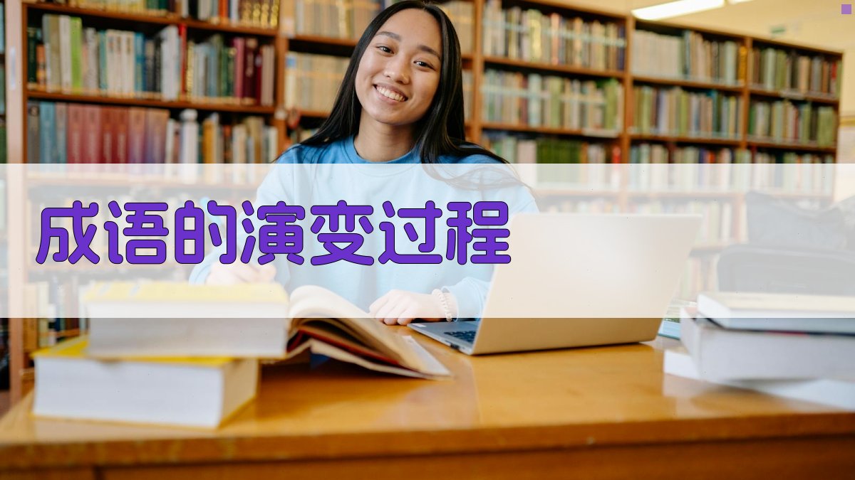 成语的演变过程 图1