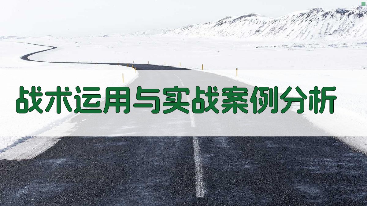 战术运用与实战案例分析 图1