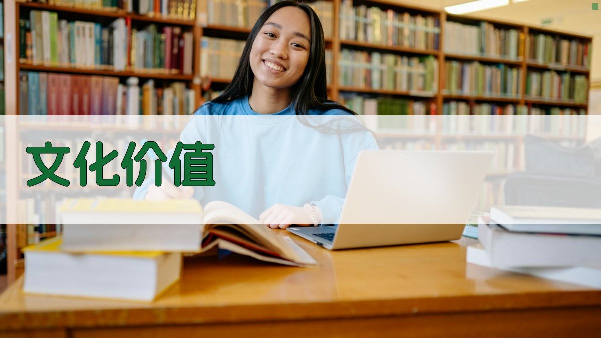 文化价值 图2