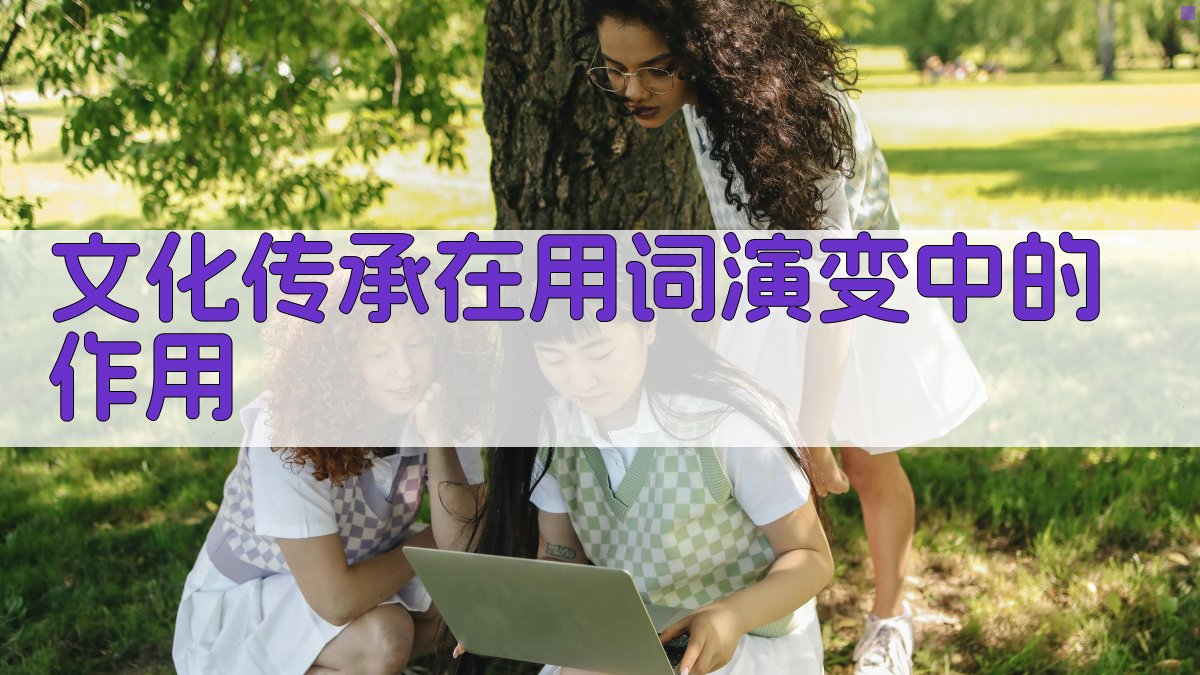 文化传承在用词演变中的作用 图2