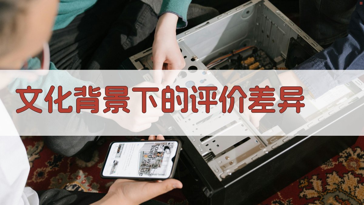 文化背景下的评价差异 图3