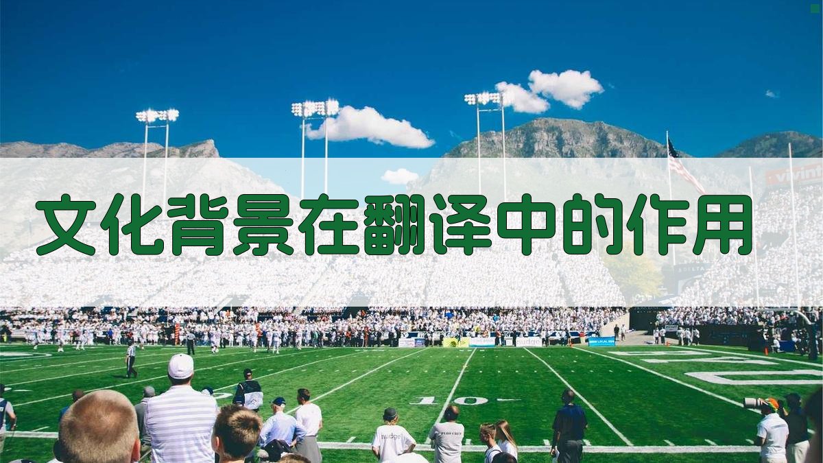 文化背景在翻译中的作用 图3