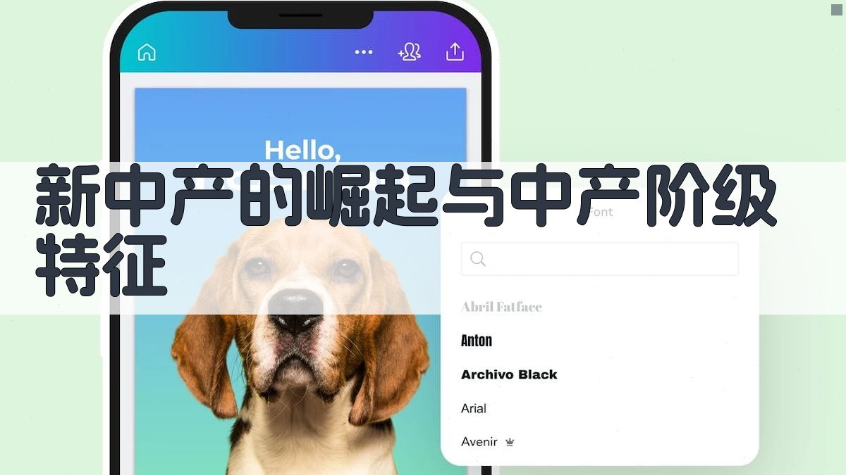 ‘新中产’的崛起与中产阶级特征 图2