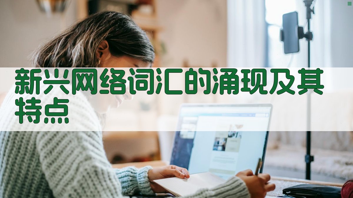 新兴网络词汇的涌现及其特点 图2