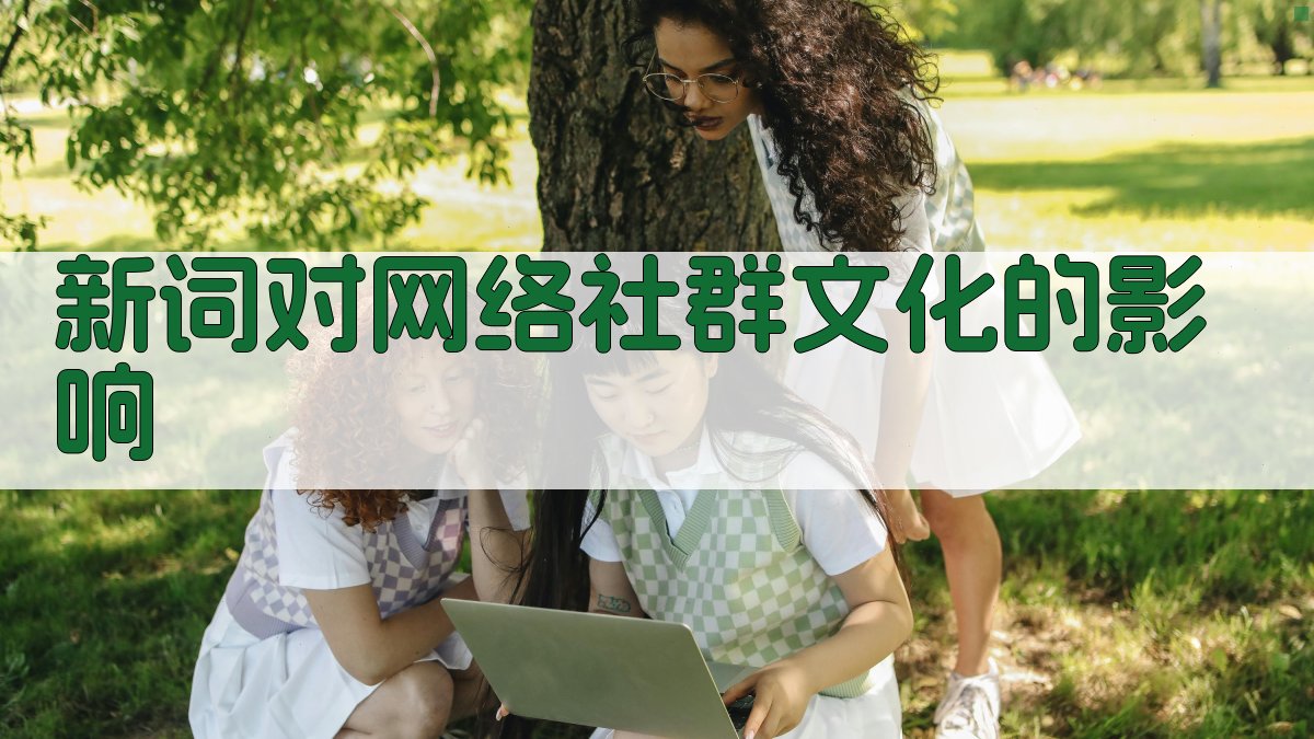 新词对网络社群文化的影响 图3
