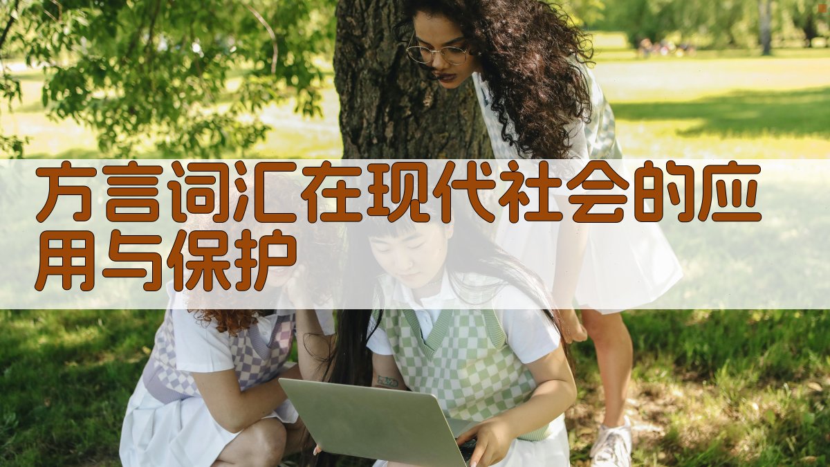 方言词汇在现代社会的应用与保护 图3