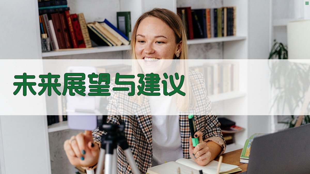 未来展望与建议 图4