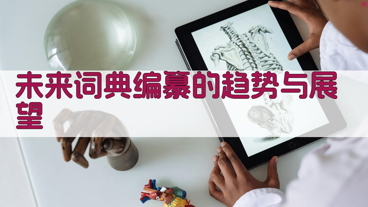 未来词典编纂的趋势与展望 图5