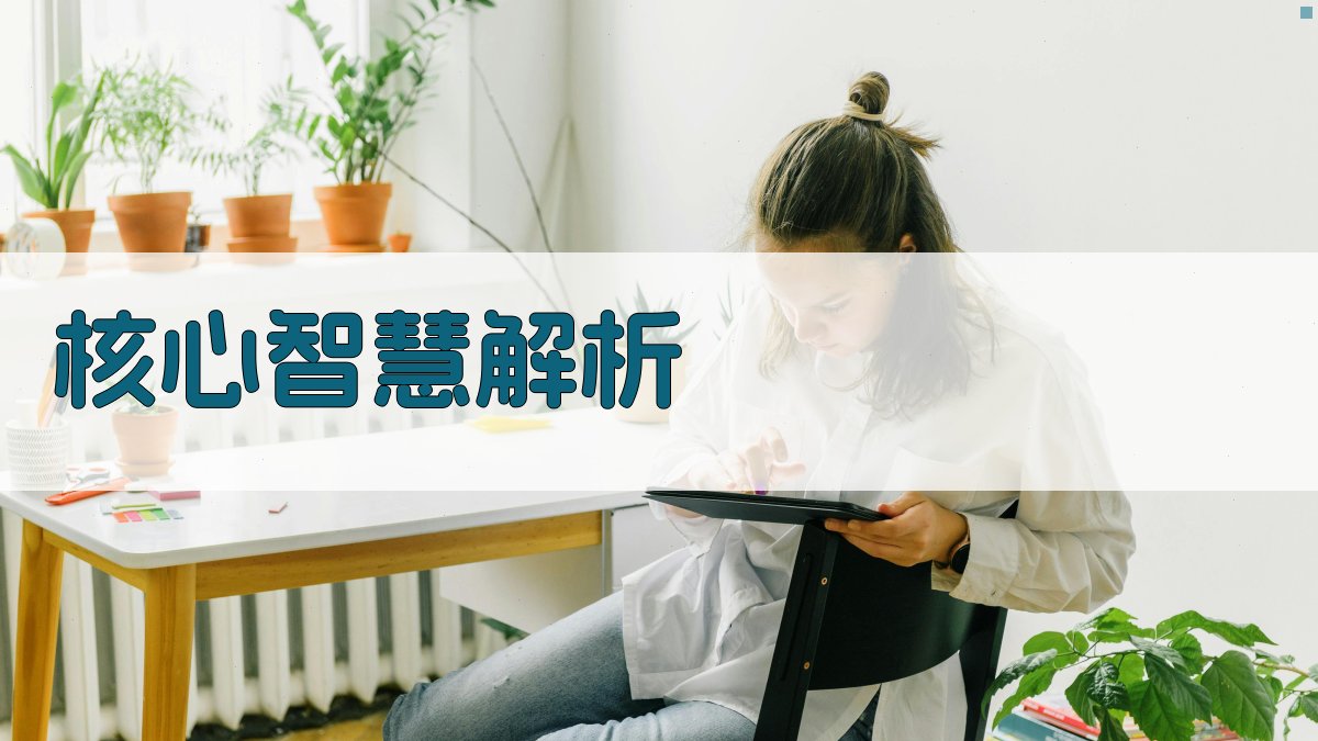 核心智慧解析 图2