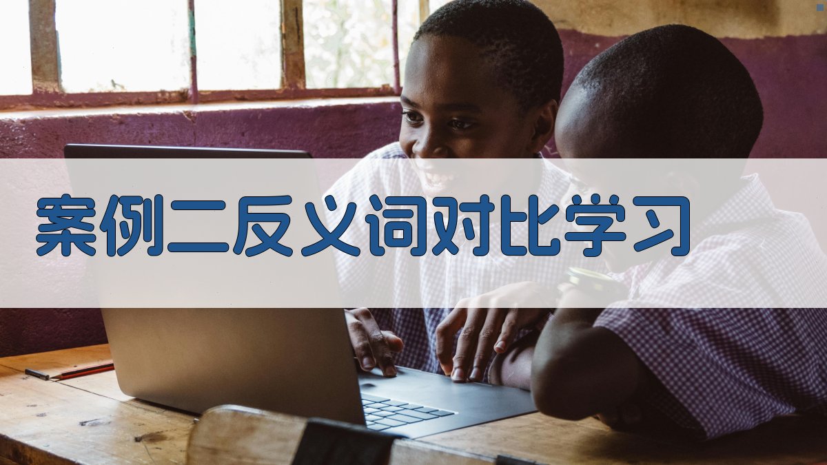 案例二反义词对比学习 图2