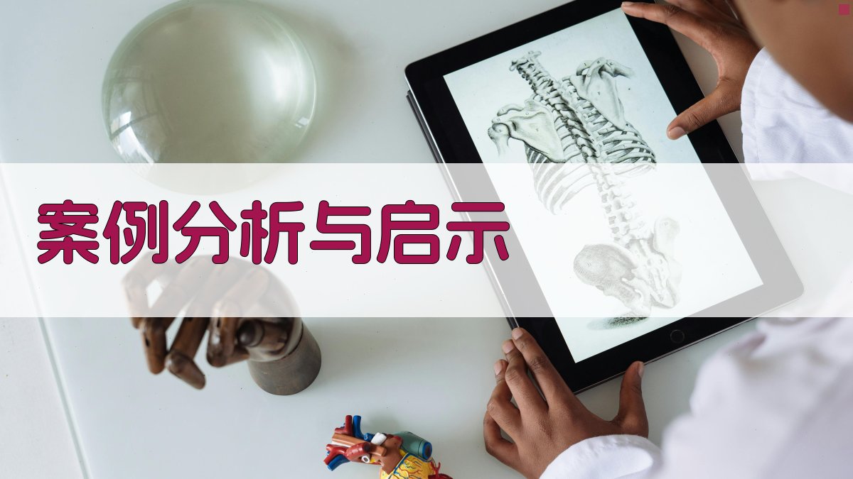 案例分析与启示 图2