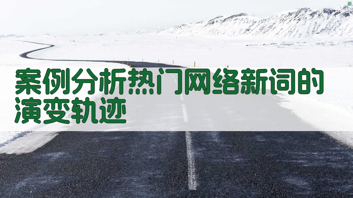 案例分析热门网络新词的演变轨迹 图2