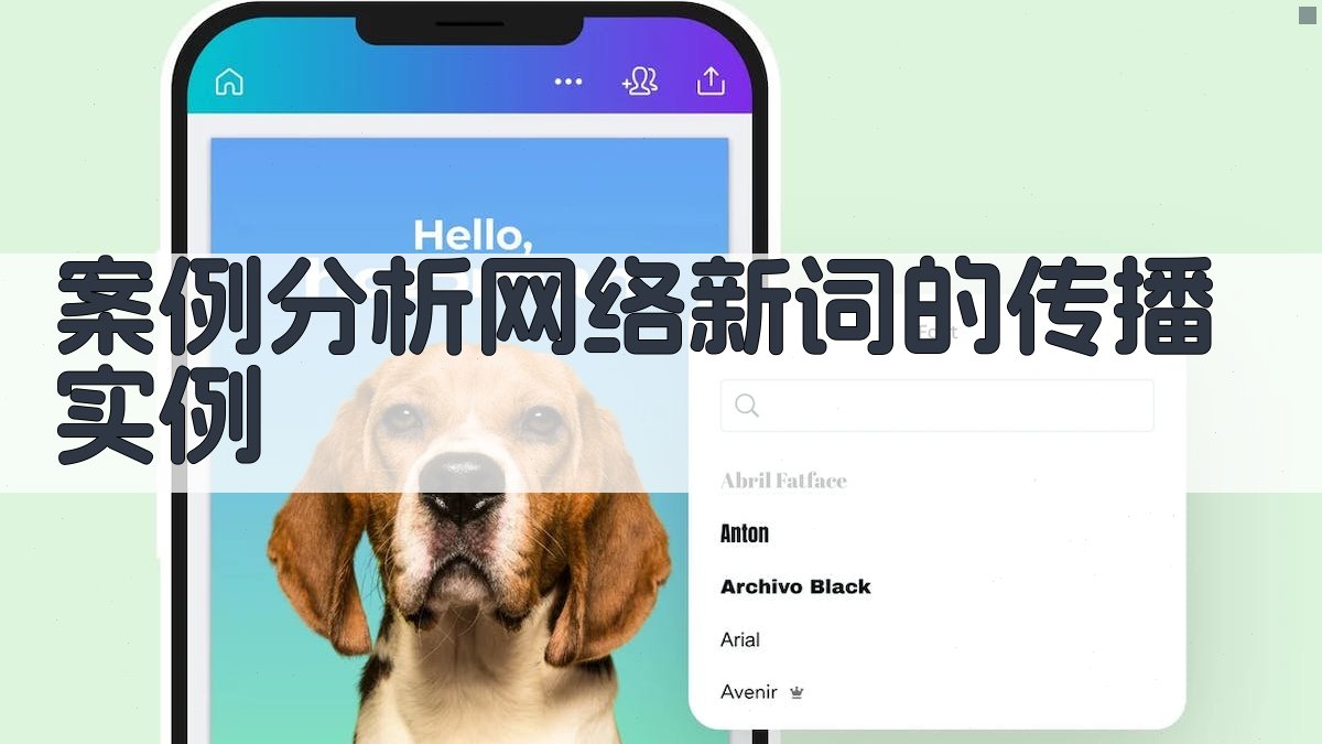 案例分析网络新词的传播实例 图2