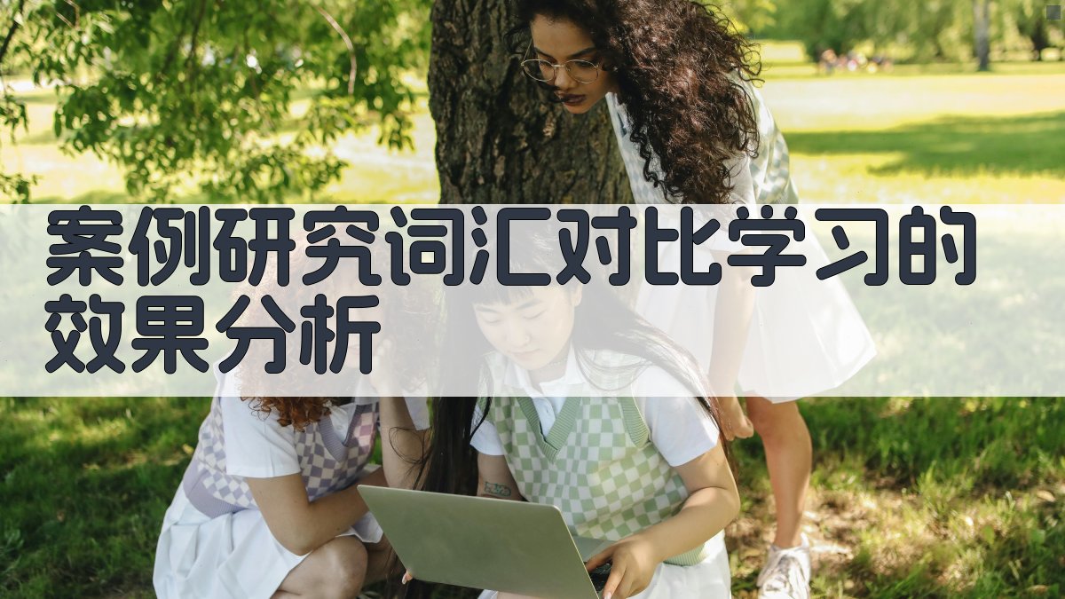 案例研究词汇对比学习的效果分析 图3