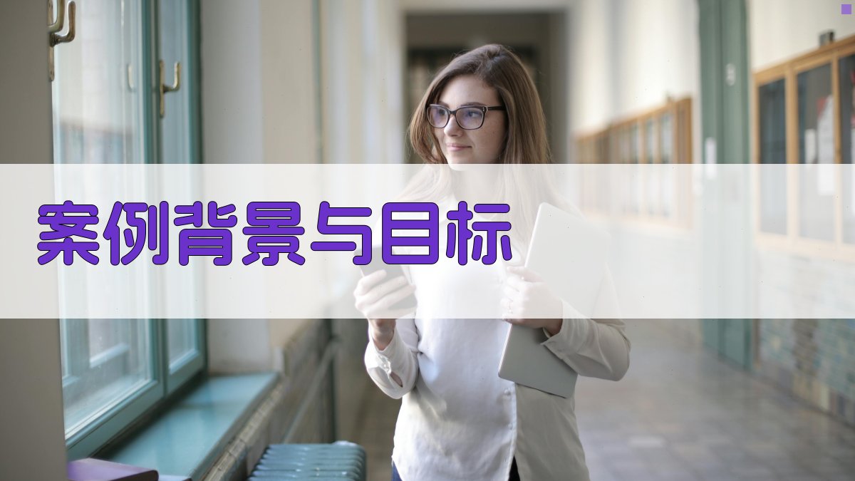 案例背景与目标 图1