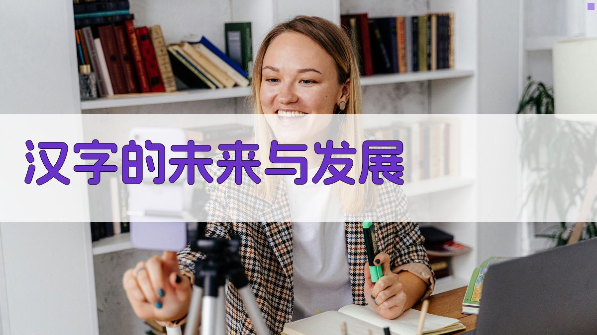 汉字的未来与发展 图3