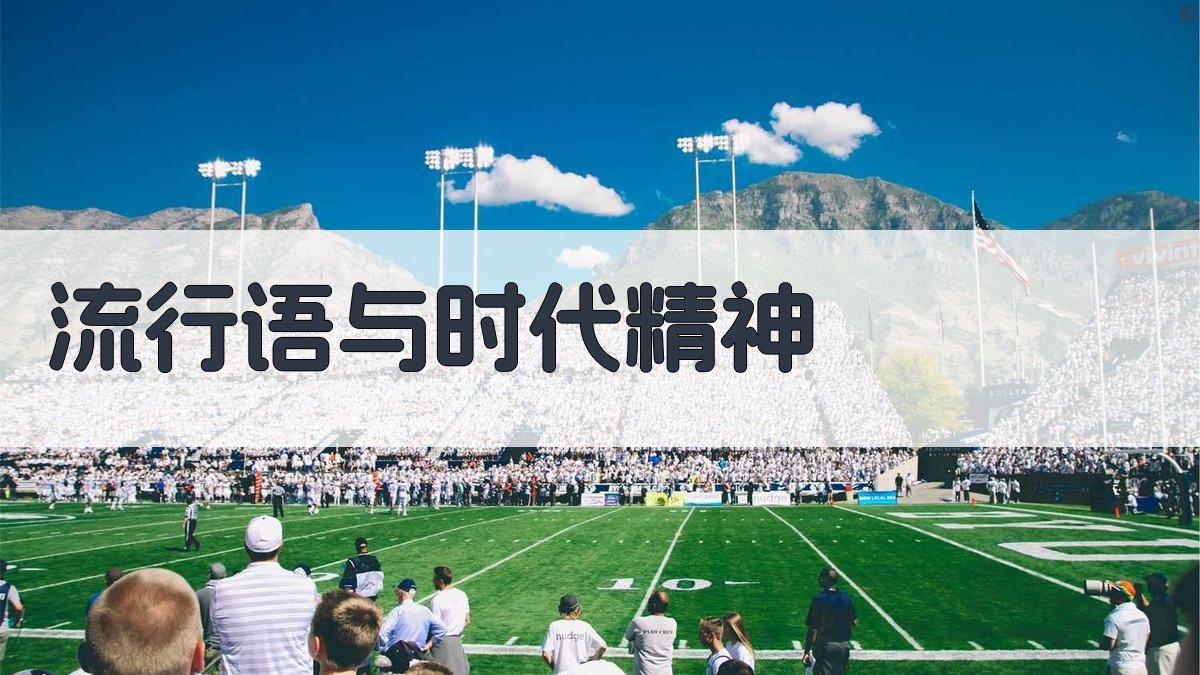 流行语与时代精神 图2