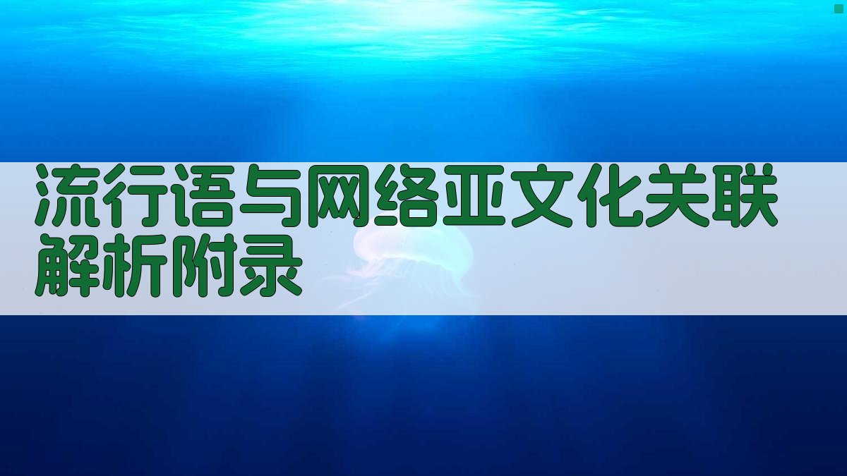 流行语与网络亚文化关联解析 · 附录 图2