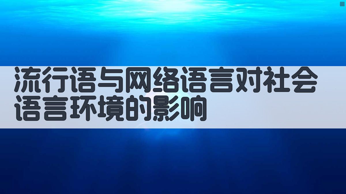 流行语与网络语言对社会语言环境的影响 图3