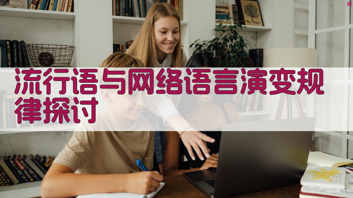 流行语与网络语言演变规律探讨 图2