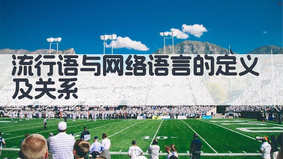 流行语与网络语言的互动特点分析