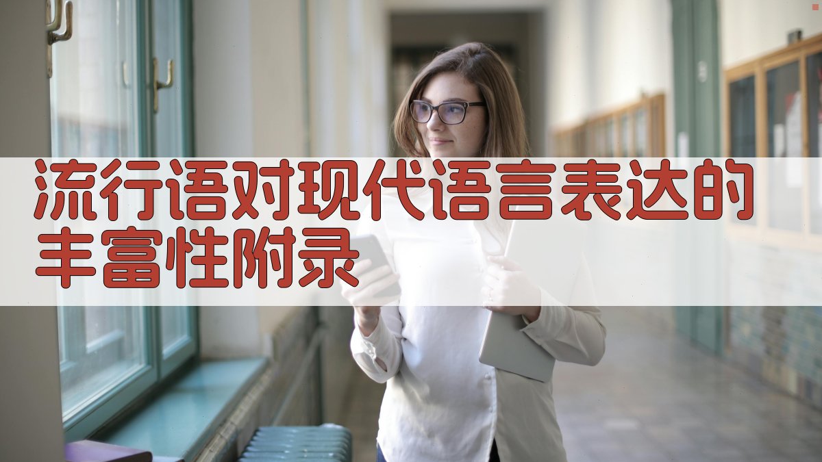 流行语对现代语言表达的丰富性 · 附录 图2