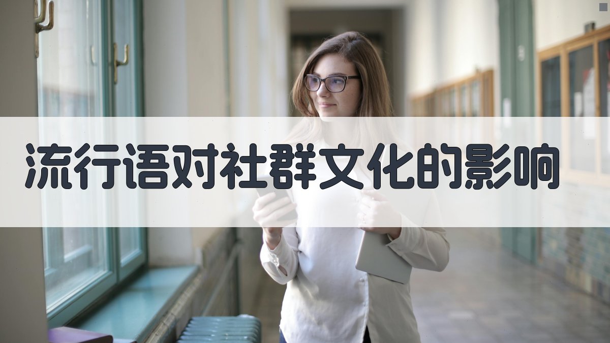 流行语对社群文化的影响 图2