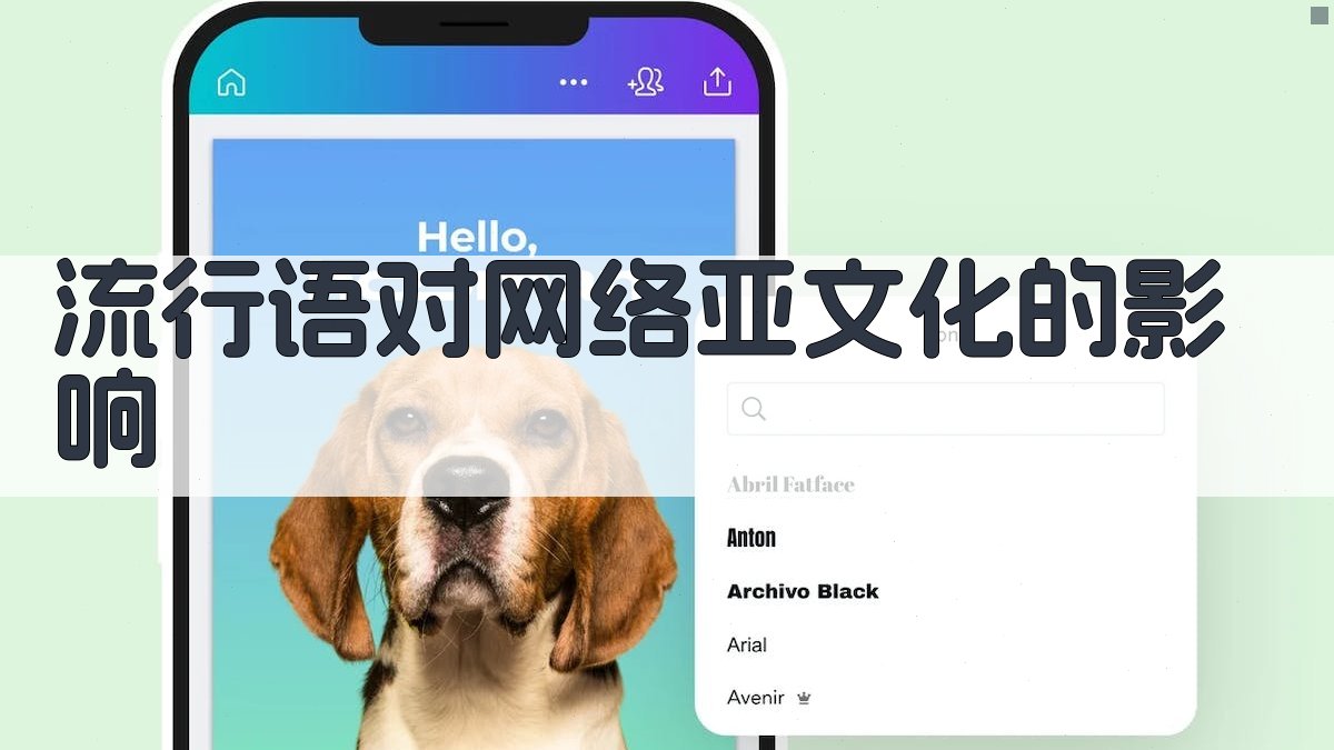 流行语对网络亚文化的影响 图3