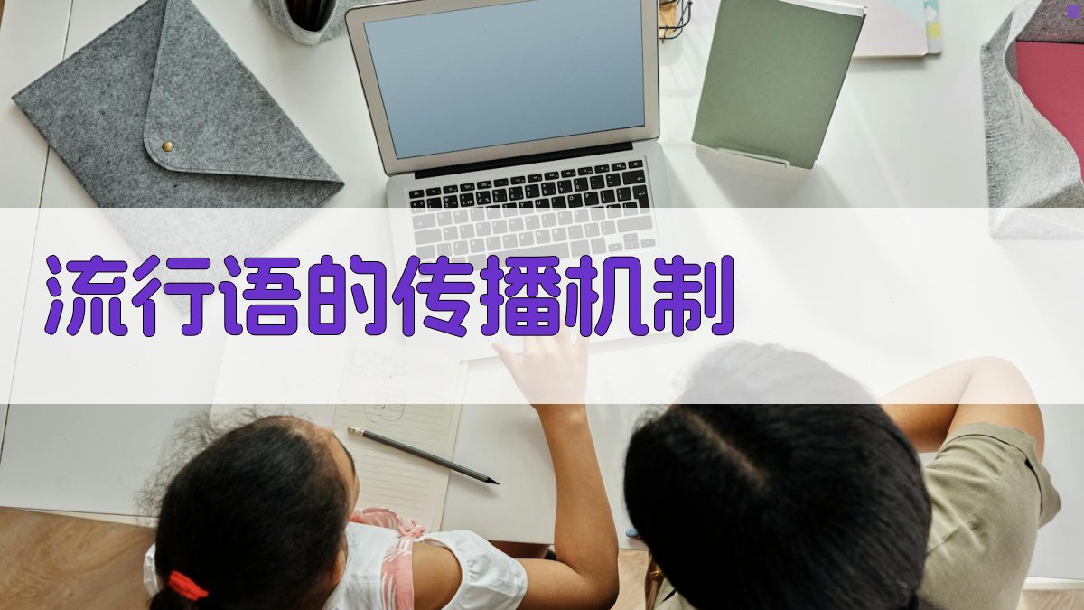 流行语的传播机制 图3