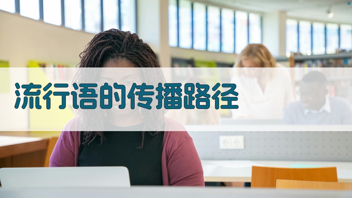 流行语的传播路径 图2