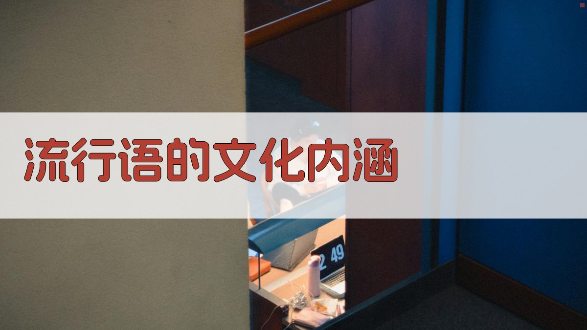 流行语的文化内涵 图2