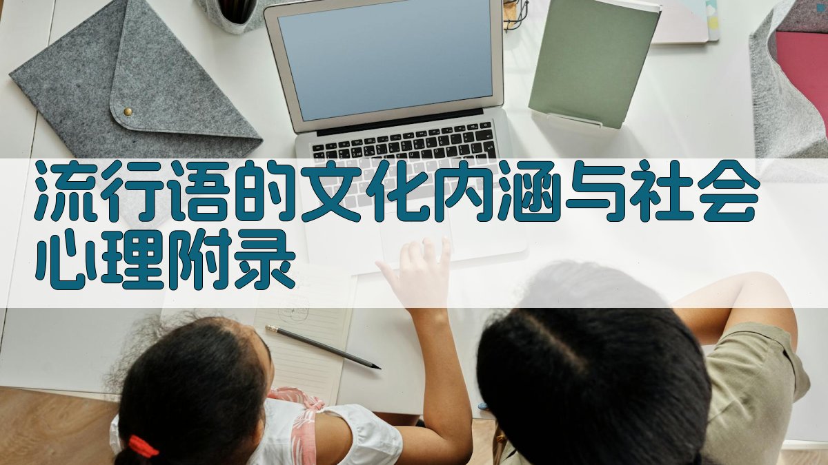 流行语的文化内涵与社会心理 · 附录 图5