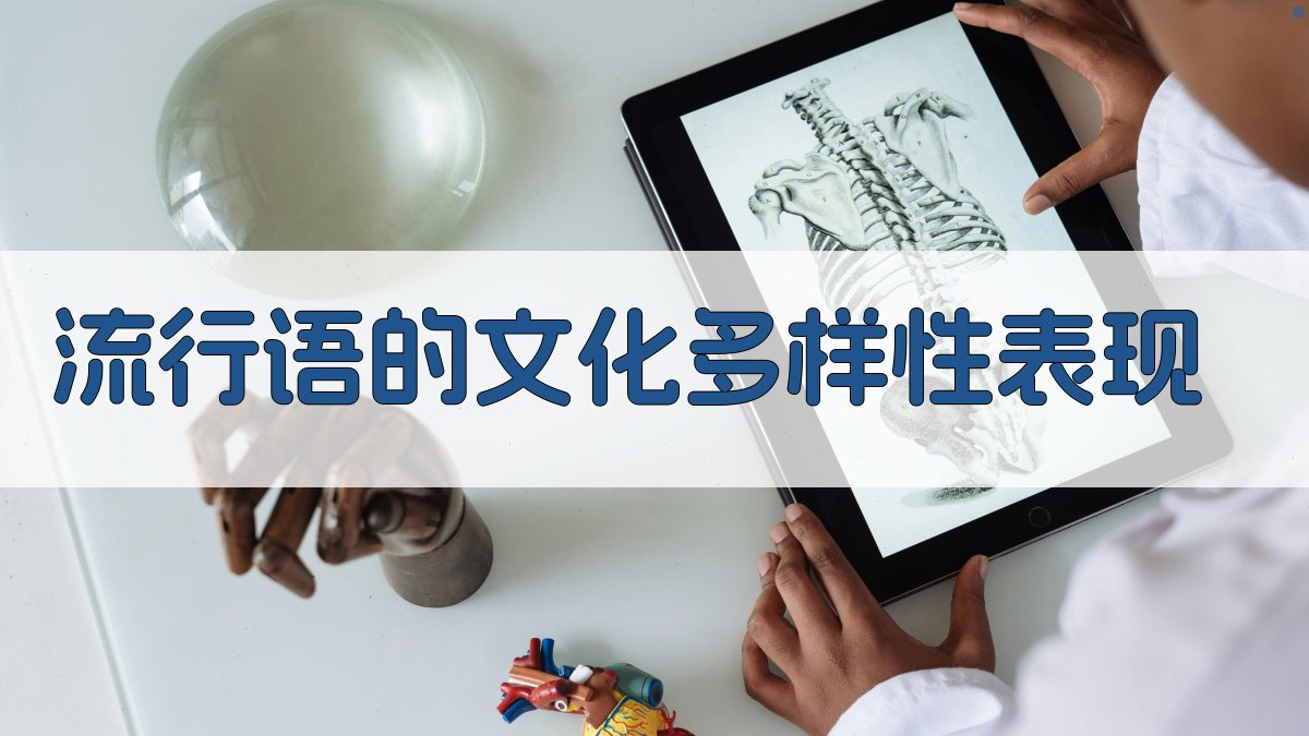 流行语的文化多样性表现 图2