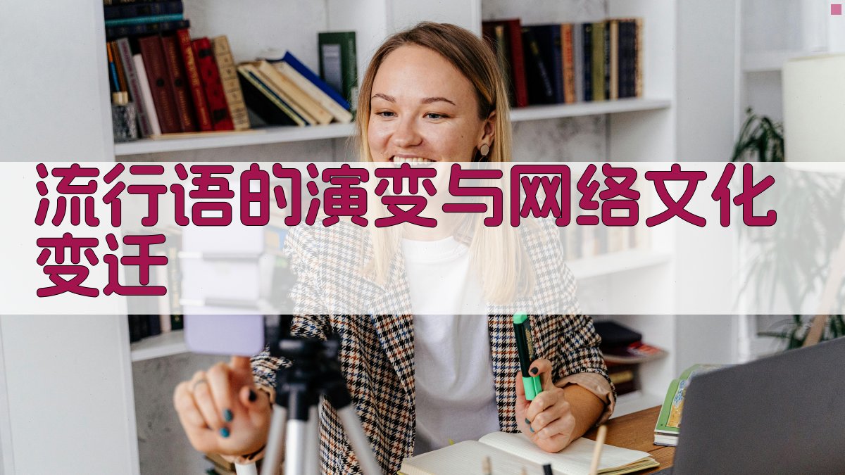 流行语的演变与网络文化变迁 图2