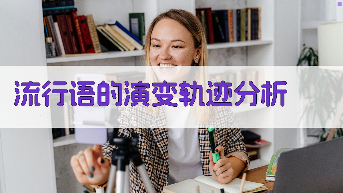 流行语的演变轨迹分析 图2