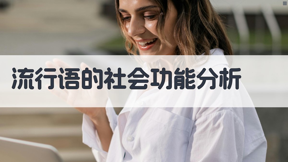 流行语的社会功能分析 图1